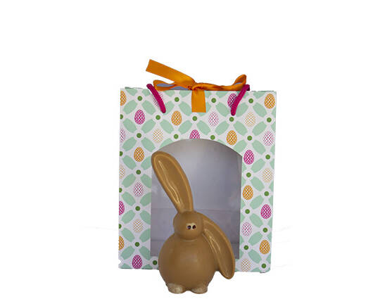 lapin oreille cassée
