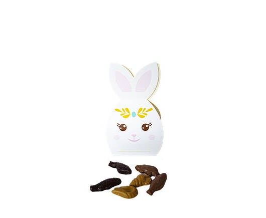 Boite lapin